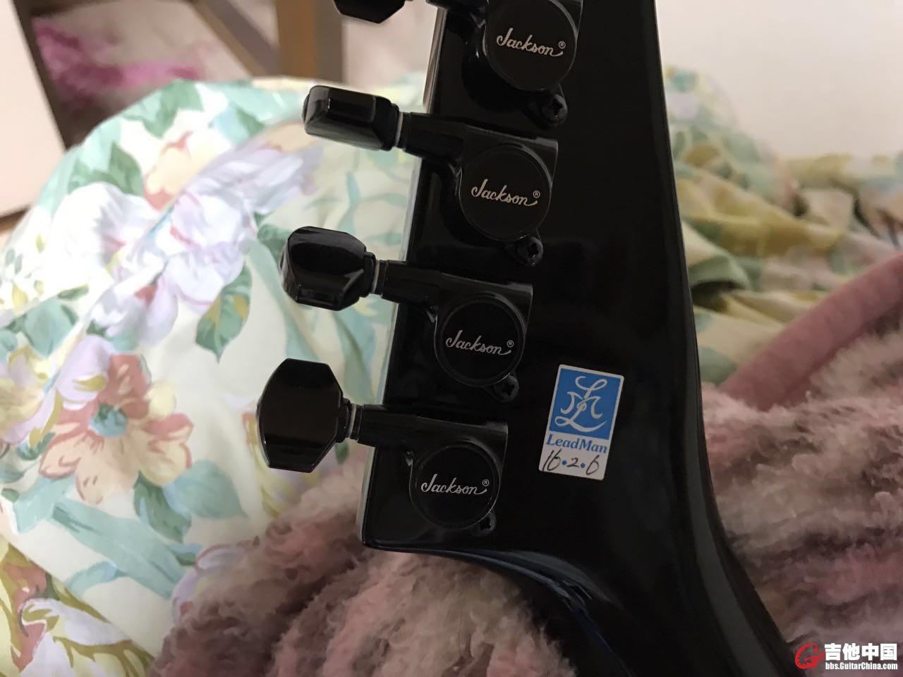 jackson usa custom rv02