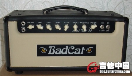 Bad Cat Hot Cat 30