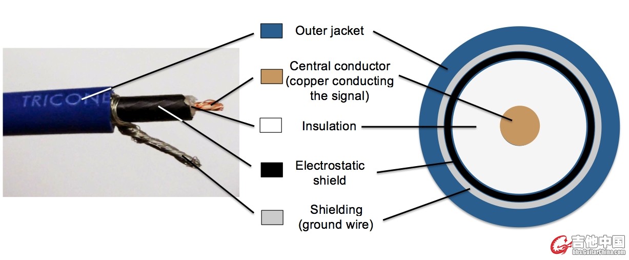 cable anatomy_1.jpg