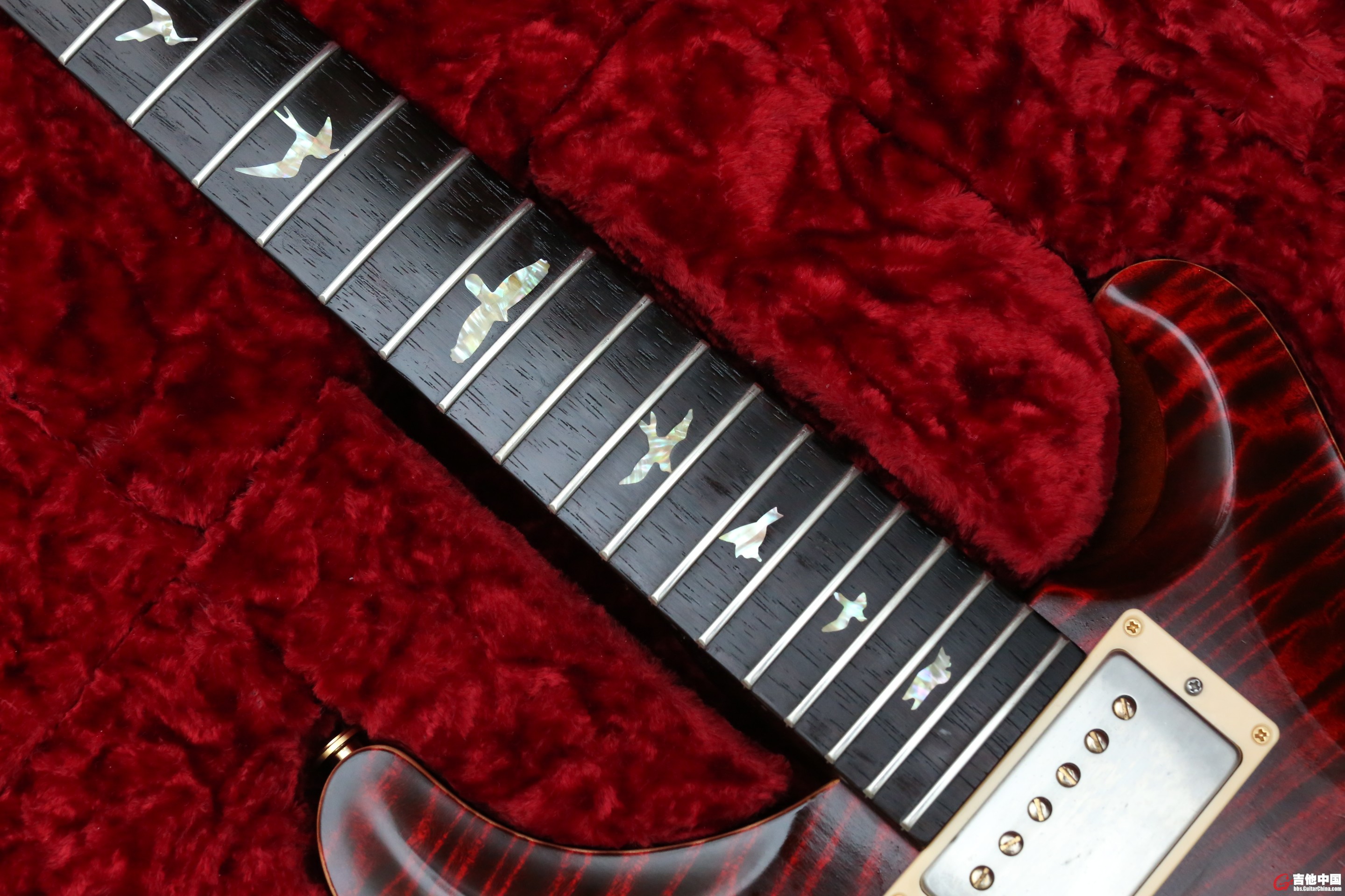 7X5A3979.JPG