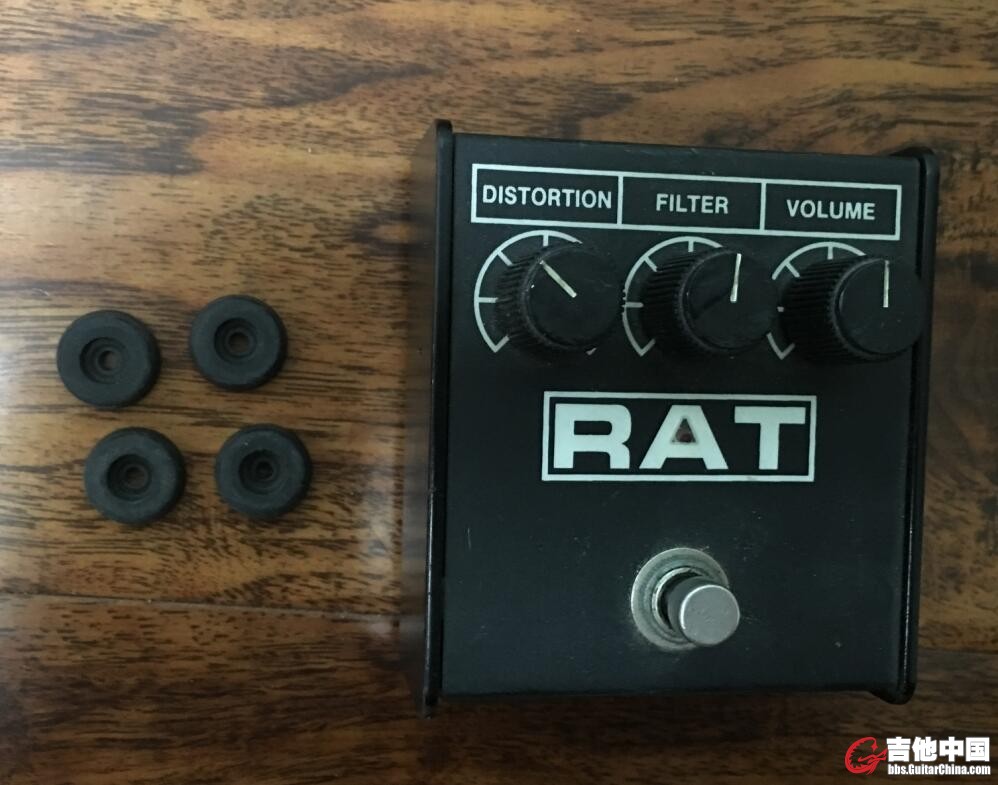 rat2.jpg