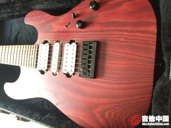 SCHECTER USA 7 (3).JPG