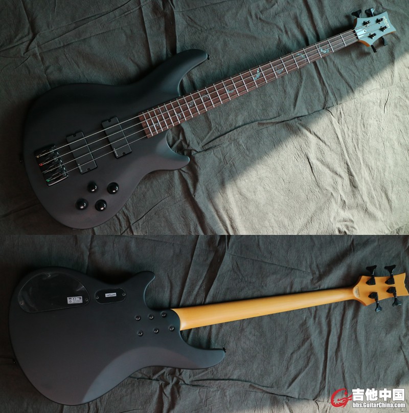 DAMIEN-4BASS.jpg