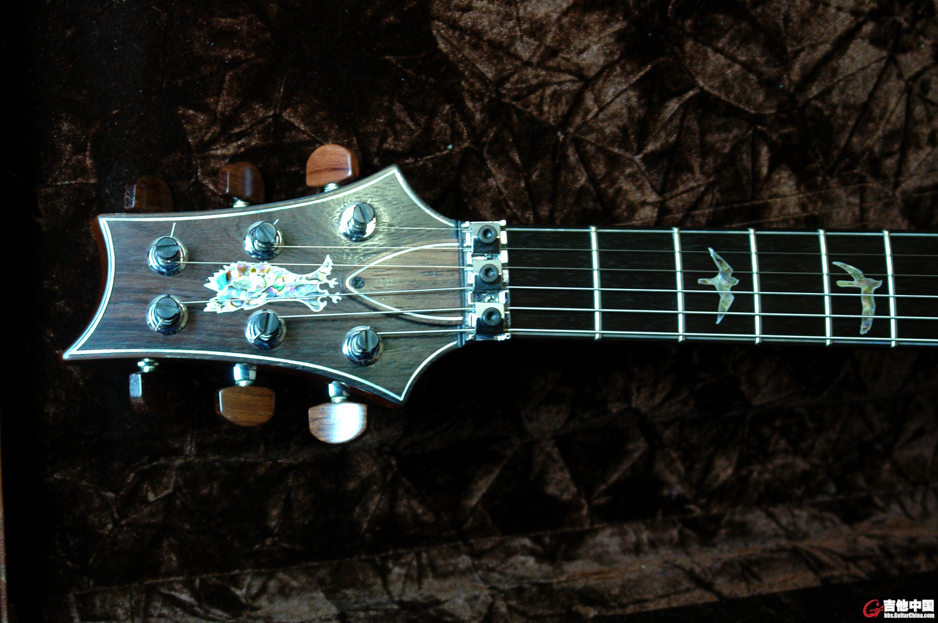 PRS Private Stock_5.jpg