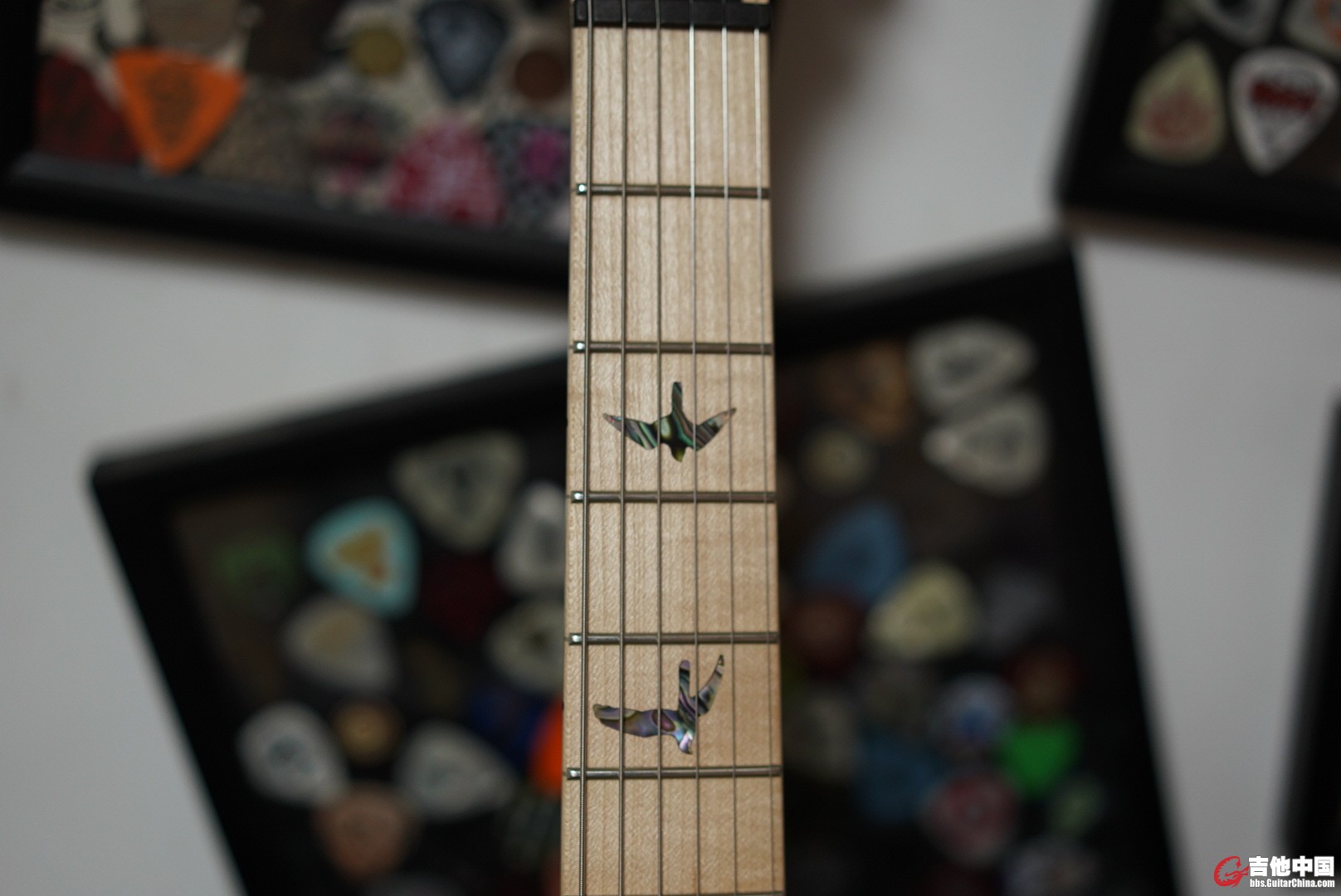 LRG_DSC00713.JPG