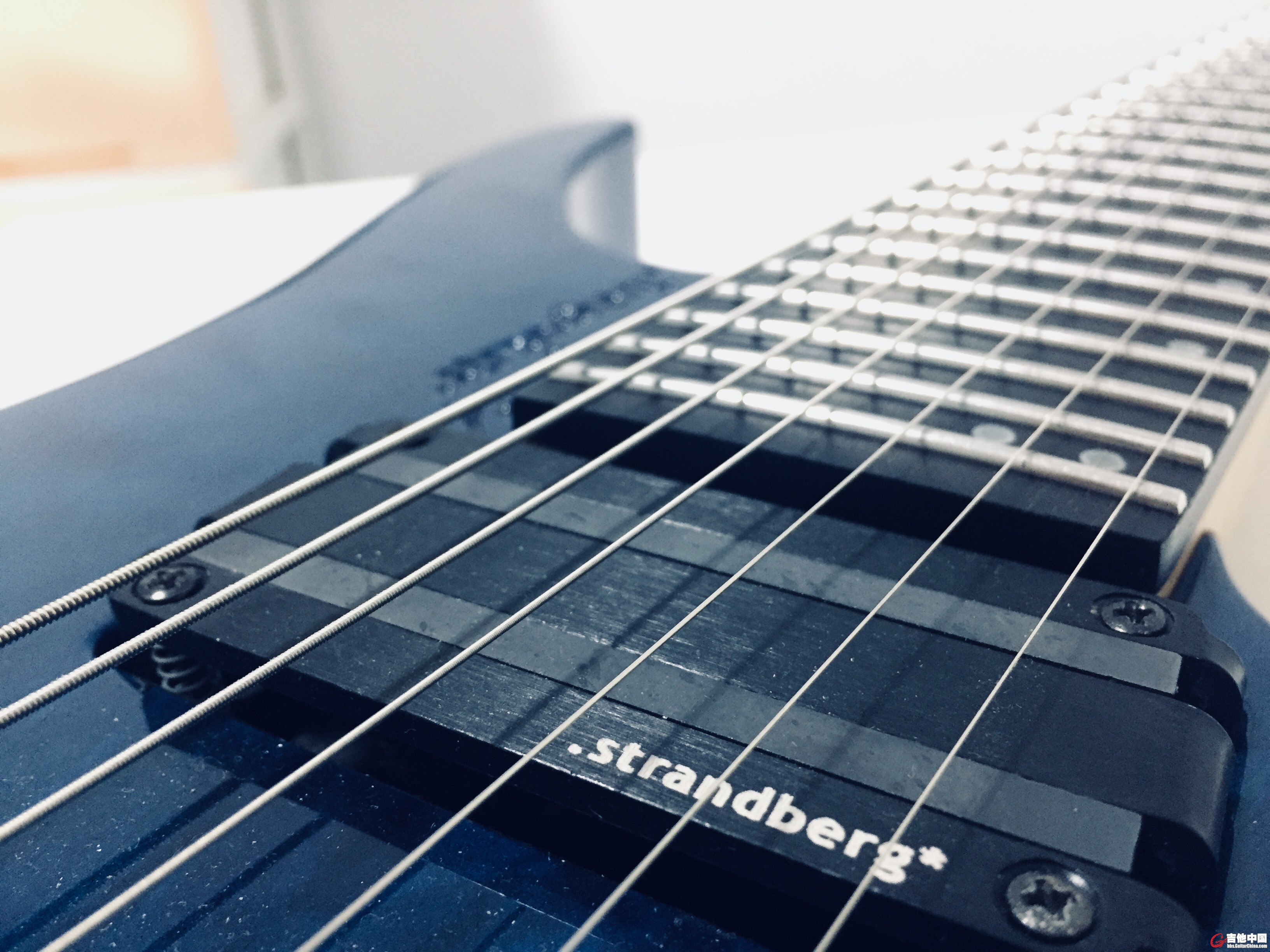 Strandberg (1)拾音器.jpg