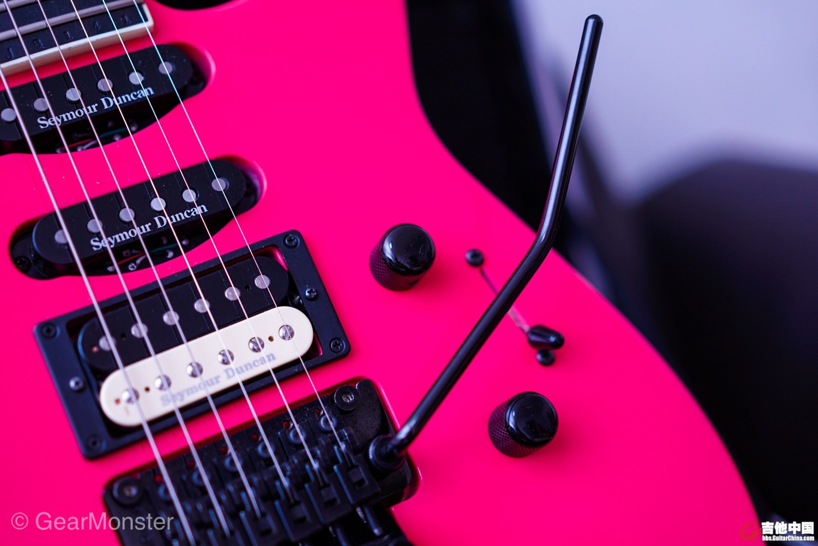 LRG_DSC02503.JPG