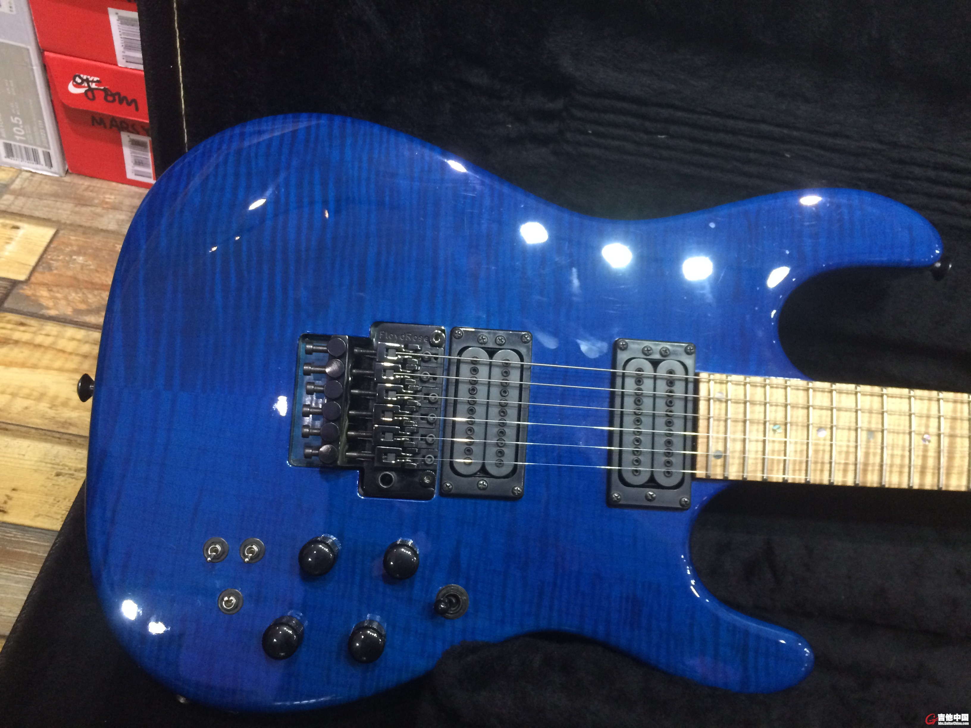 carvin 005.jpg