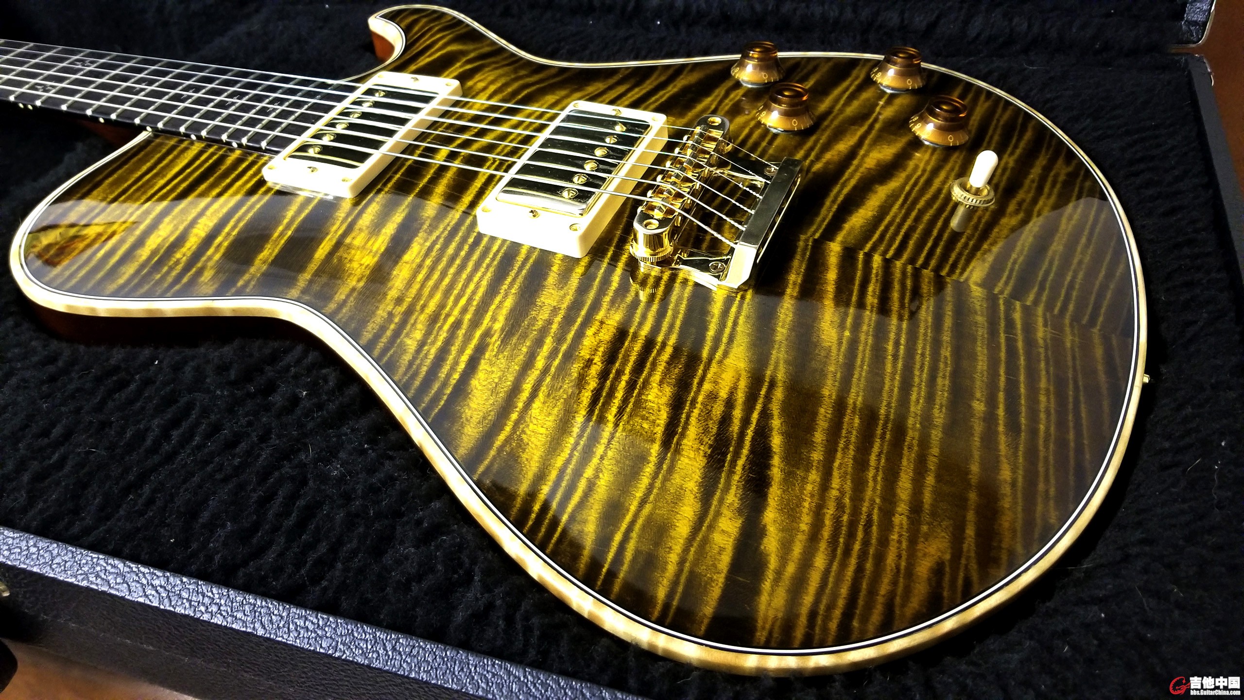 Knaggs Kenai T1 in Sunflower_1.jpg