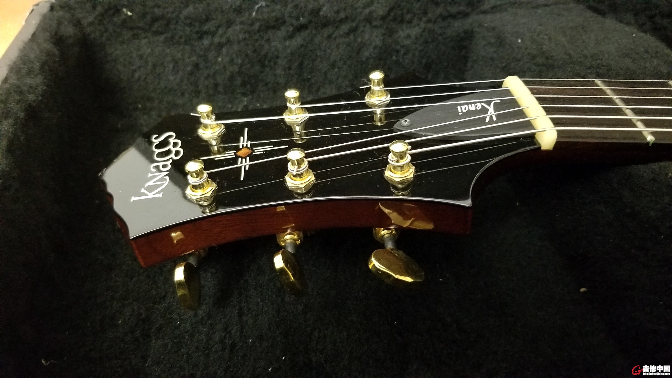 Knaggs Kenai T1 in Sunflower_2.jpg