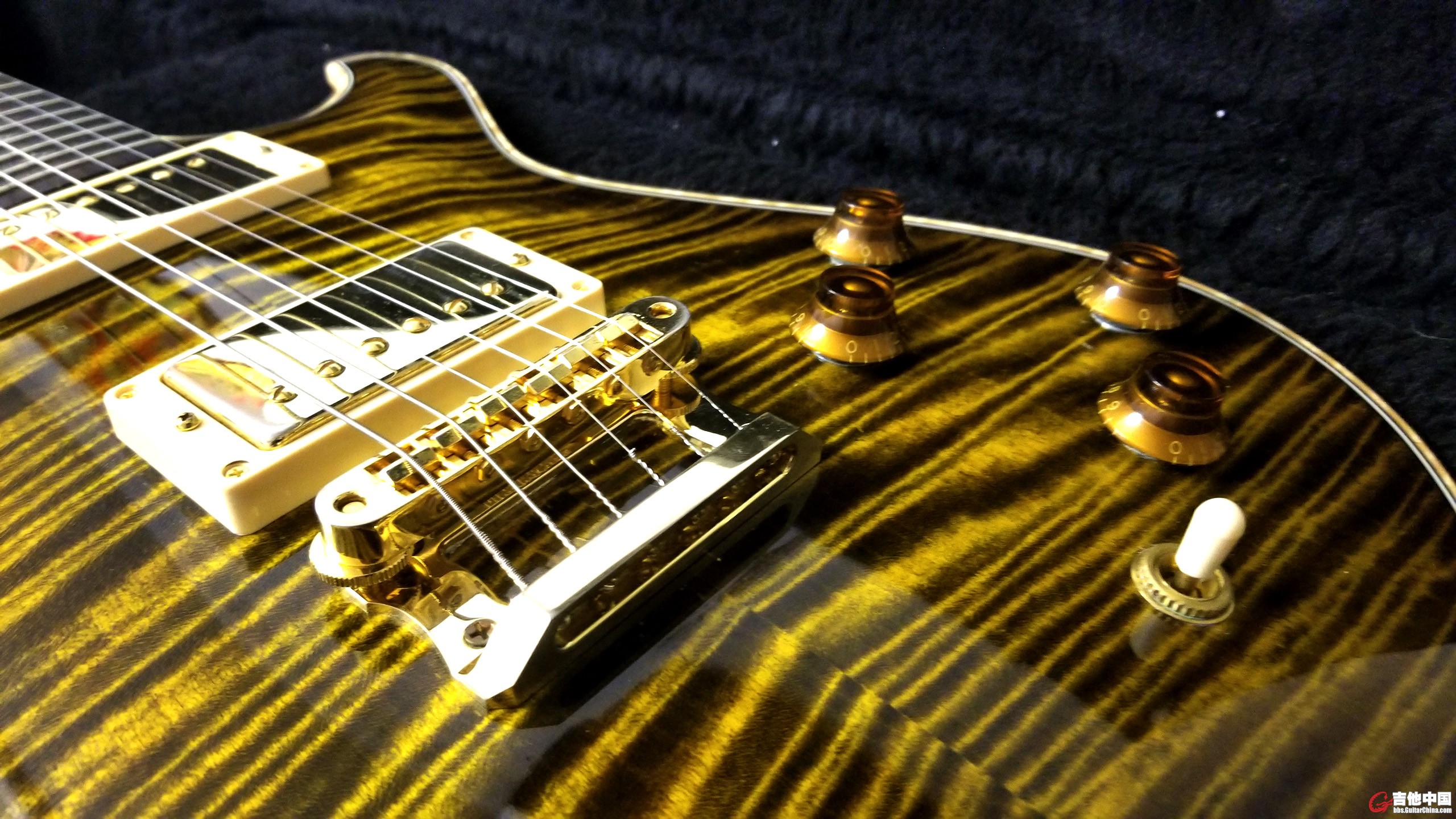 Knaggs Kenai T1 in Sunflower_3.jpg