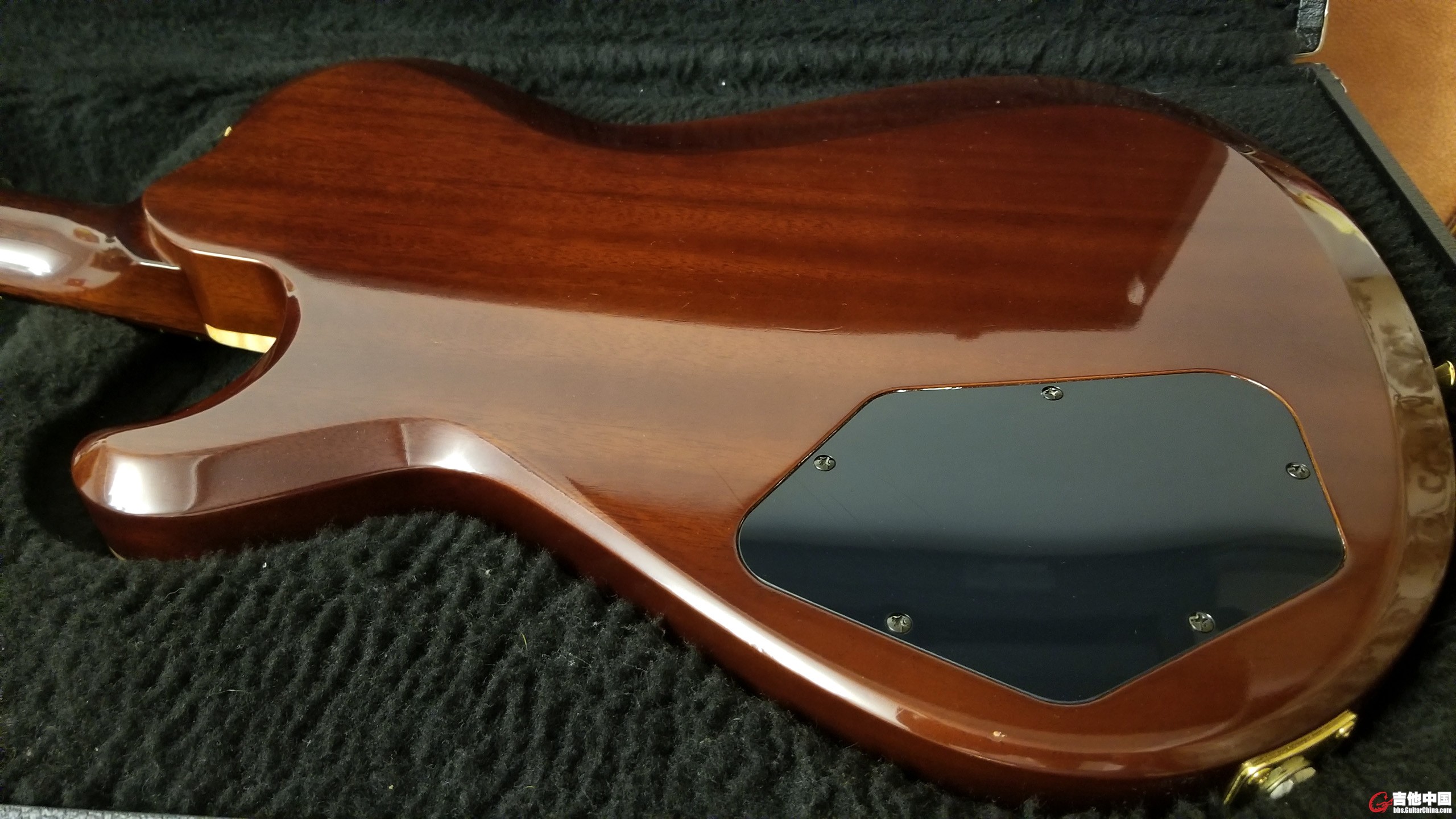 Knaggs Kenai T1 in Sunflower_6.jpg