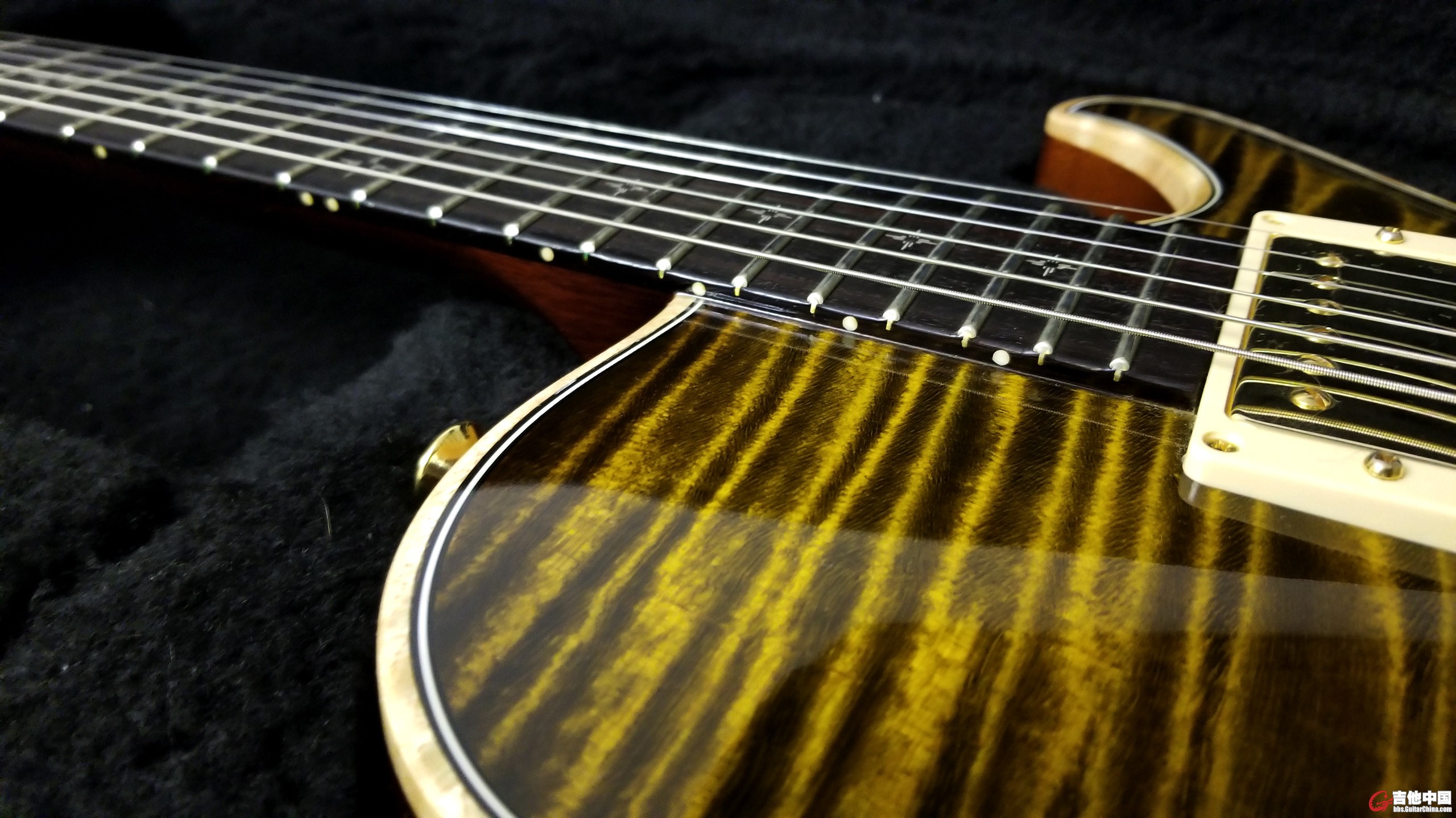 Knaggs Kenai T1 in Sunflower_5.jpg