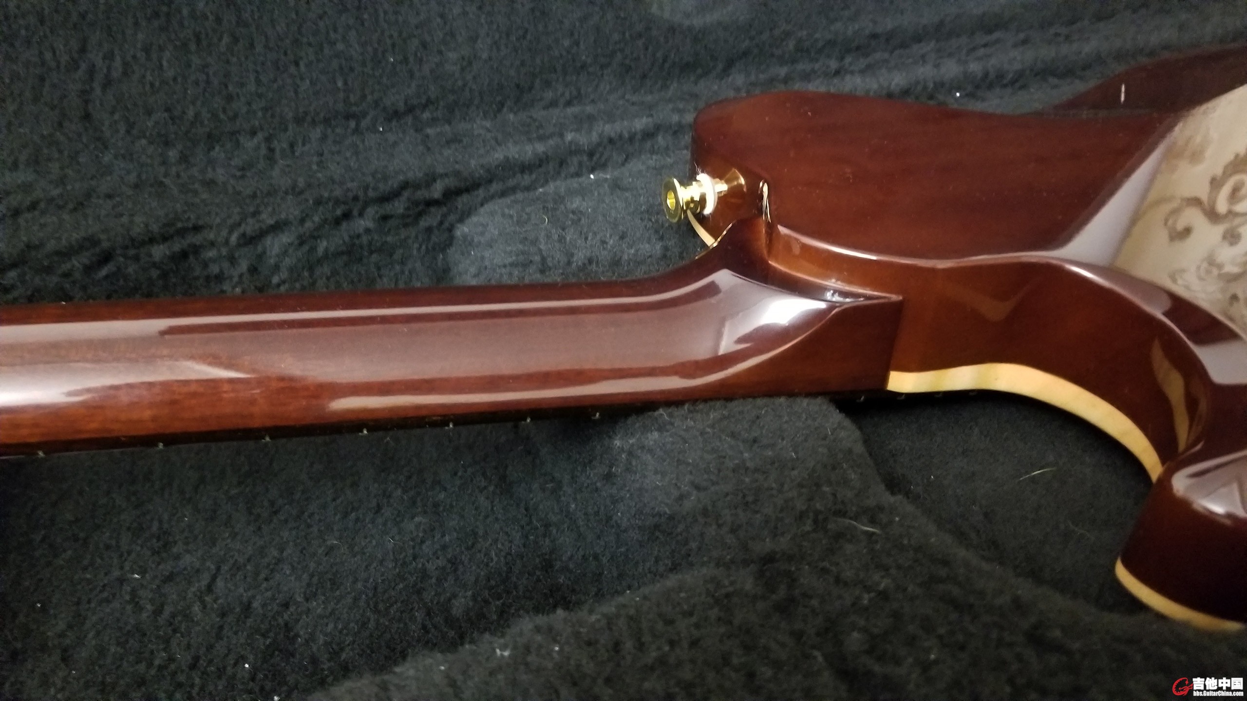 Knaggs Kenai T1 in Sunflower_7.jpg