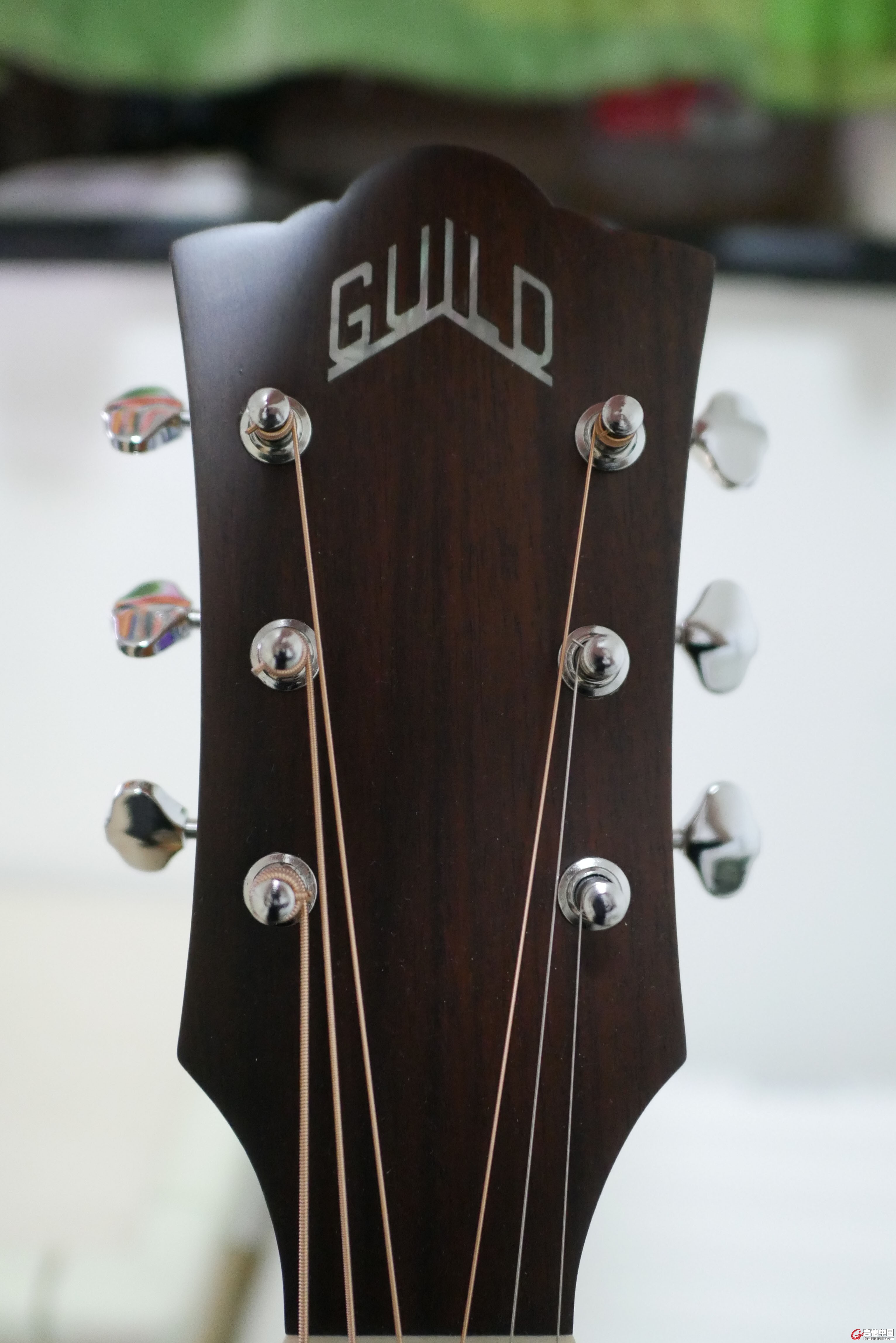 Guild M240E小图-3.jpg