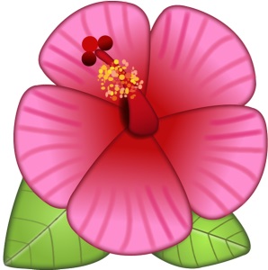 Hibiscus.jpg