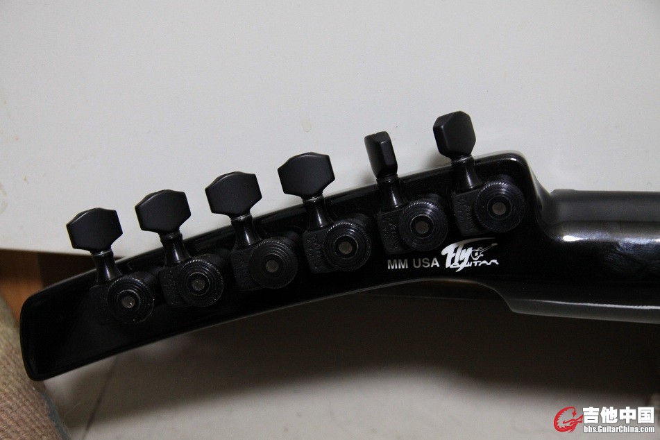 Parker headstock back.jpg