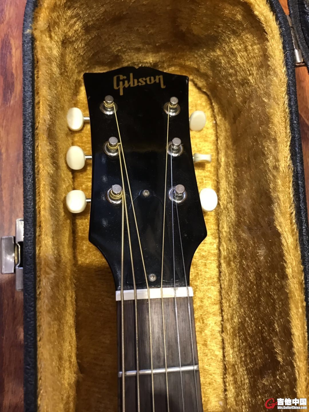 68年老GIBSON B25电箱之2.jpg