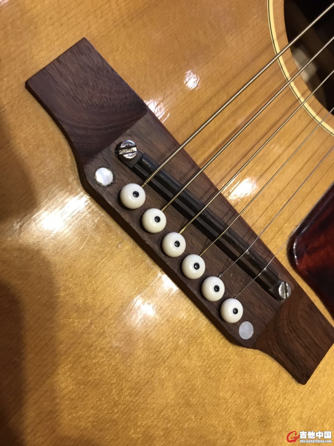 68年老GIBSON B25电箱之5.jpg