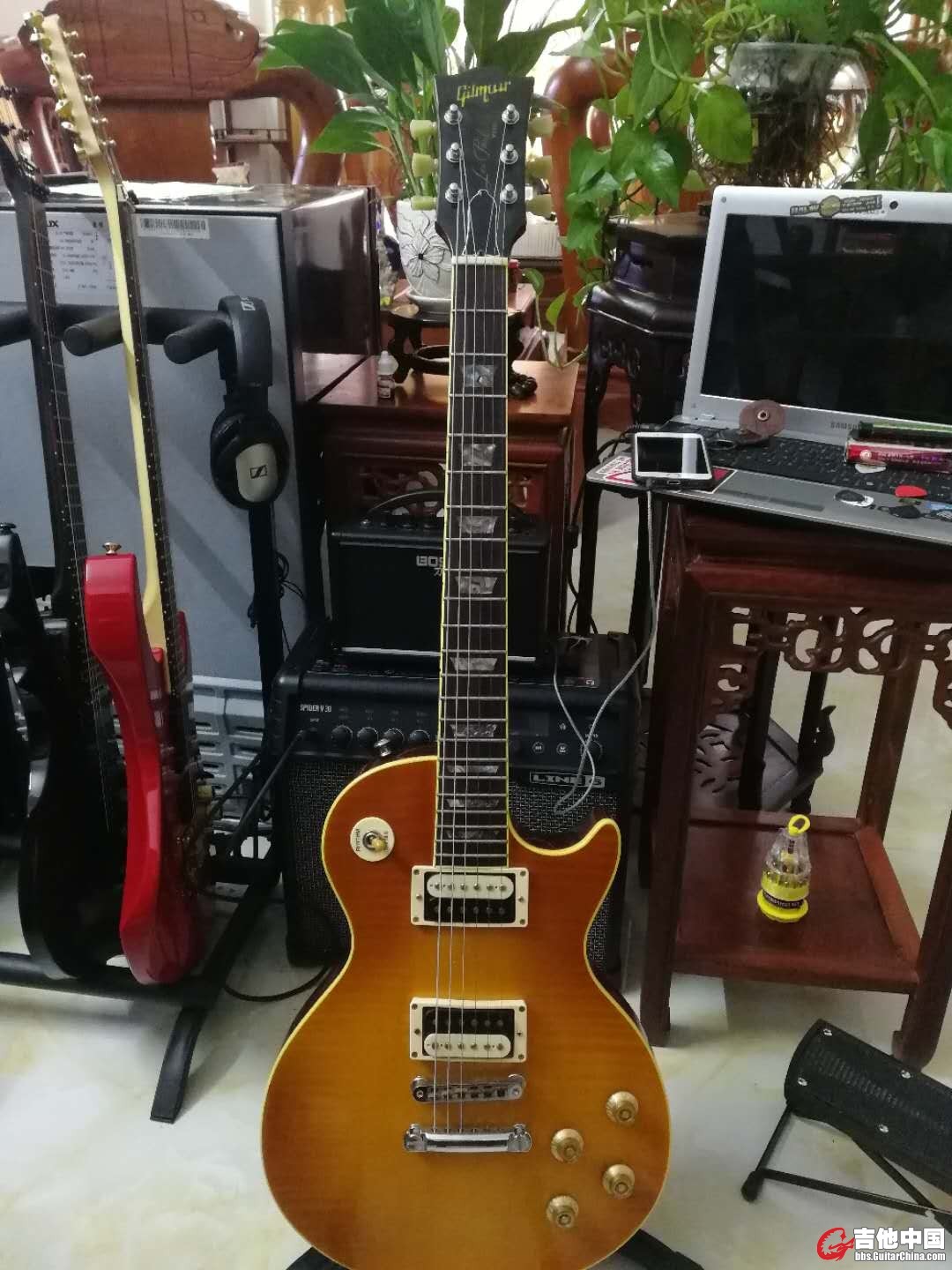 Gilmour les paul Pumma 3.jpg