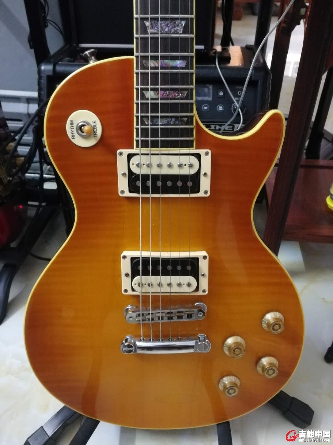 Gilmour les paul Pumma 4.jpg