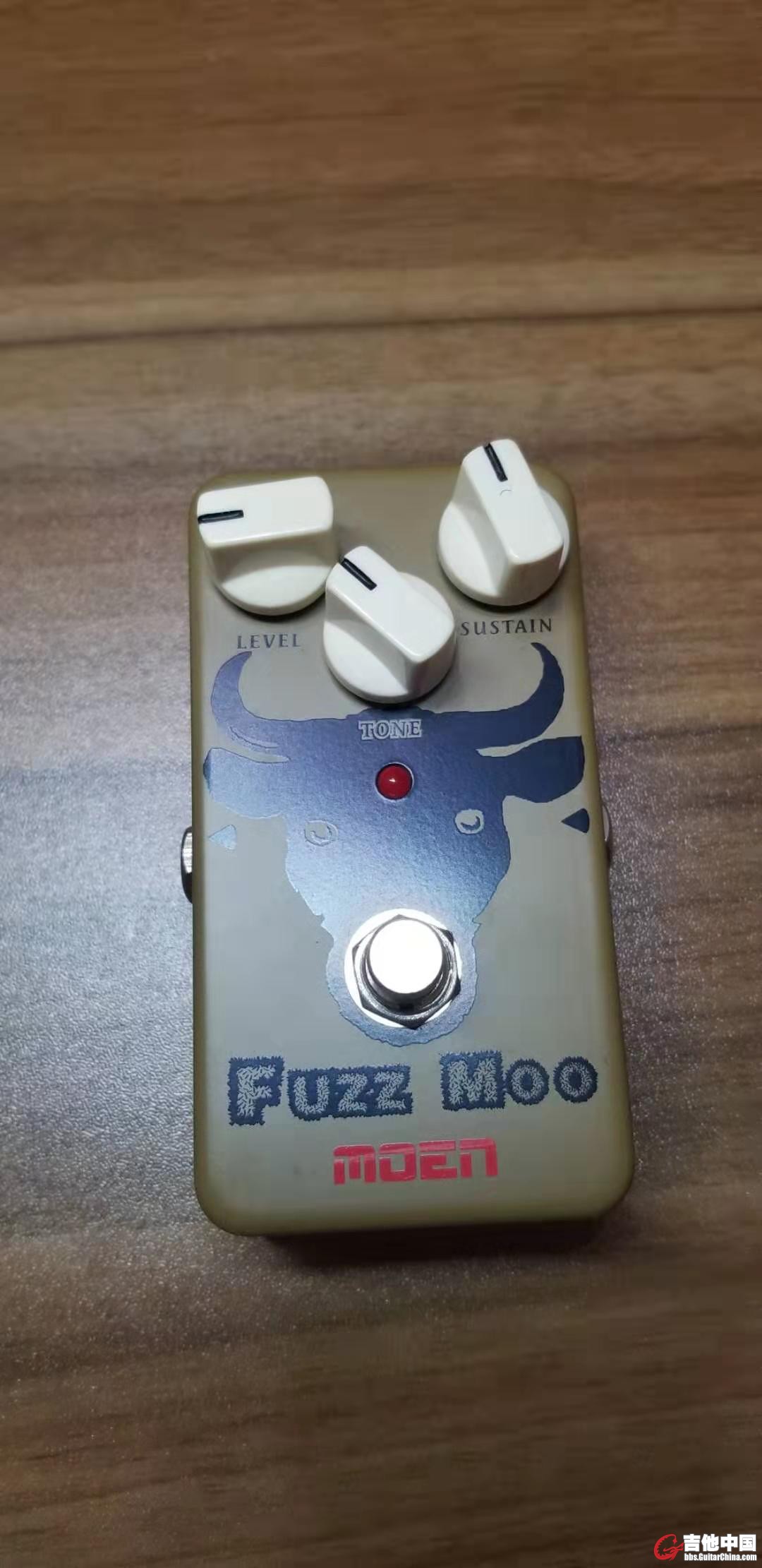 FUZZ-1.jpg