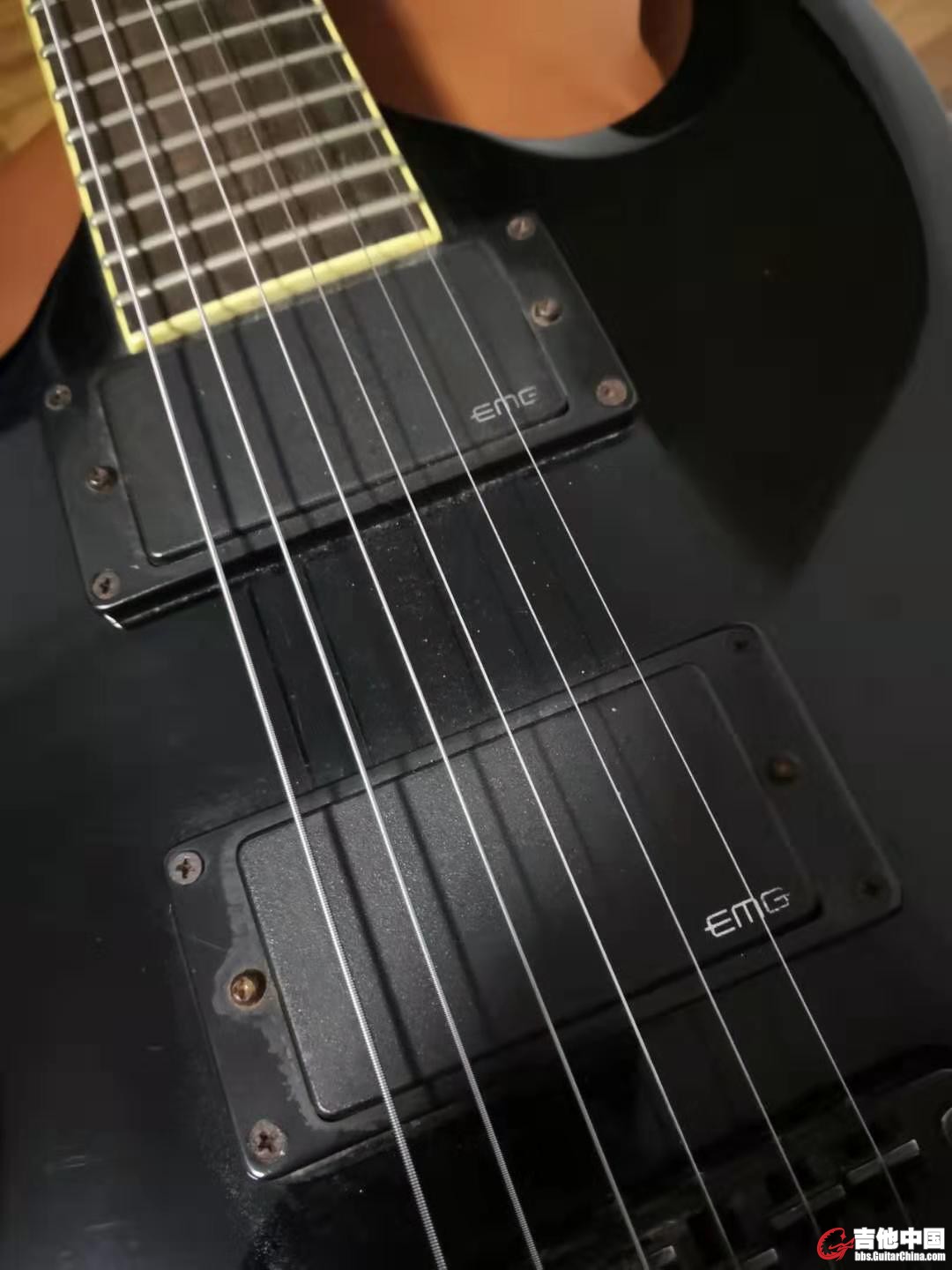 Peavey EMG 81 85  (2).jpg