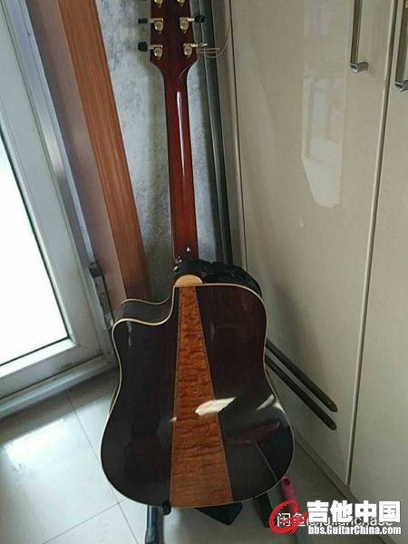 takamine 2.jpg