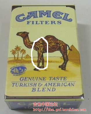 camelsamplepack-a-2.jpg