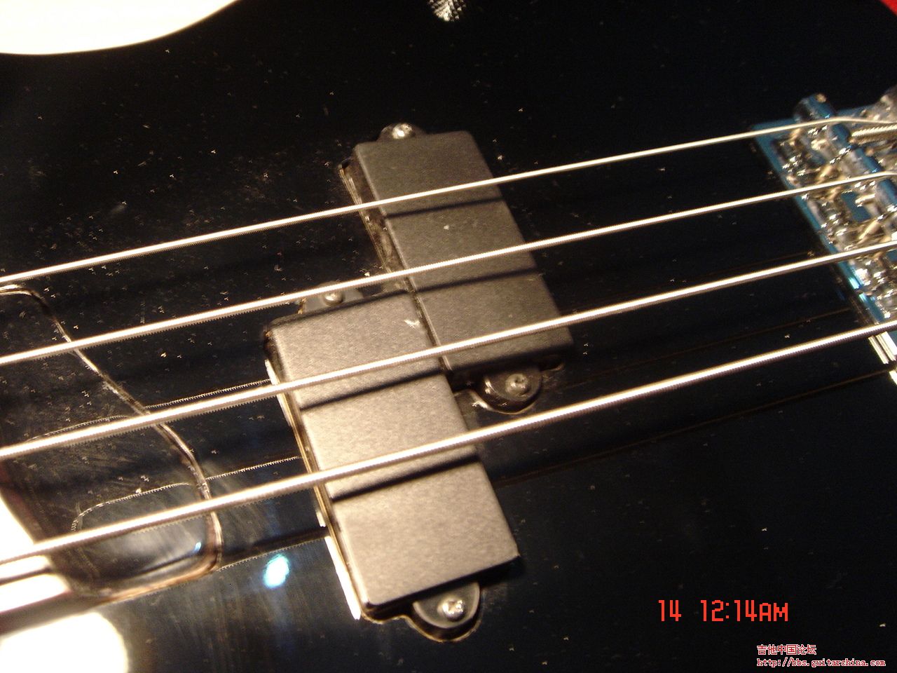 DSC01311.JPG