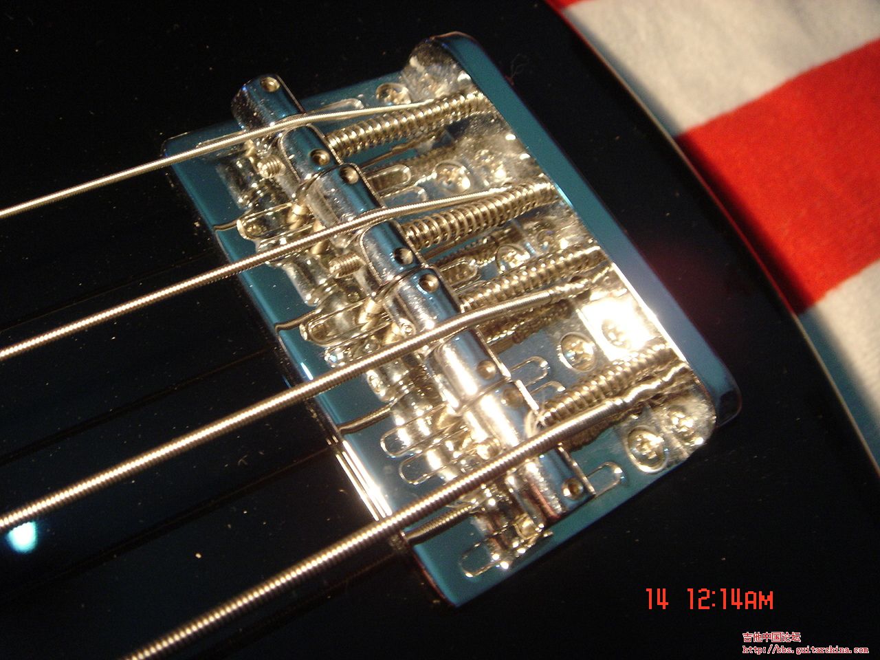 DSC01312.JPG
