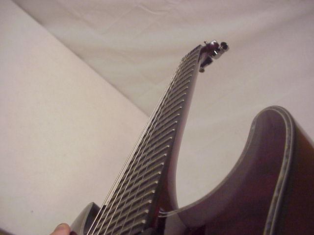 04schecter.jpg