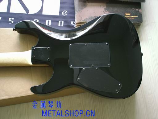 KH202-新后身.JPG
