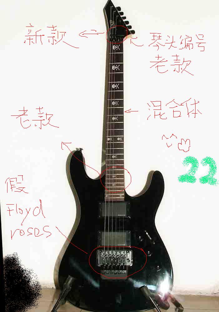 混合体  假琴