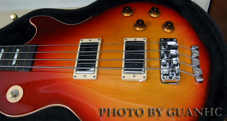 lp-standard-bass-2.jpg