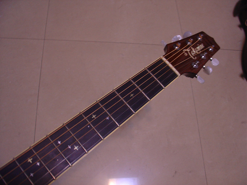 takamine-3.jpg