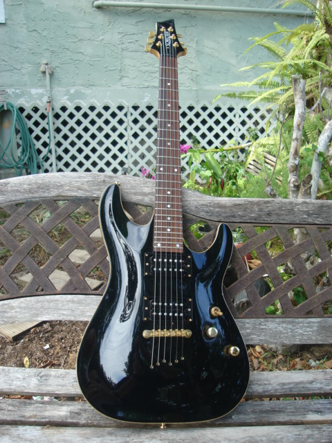 SCHECTER USA.jpg