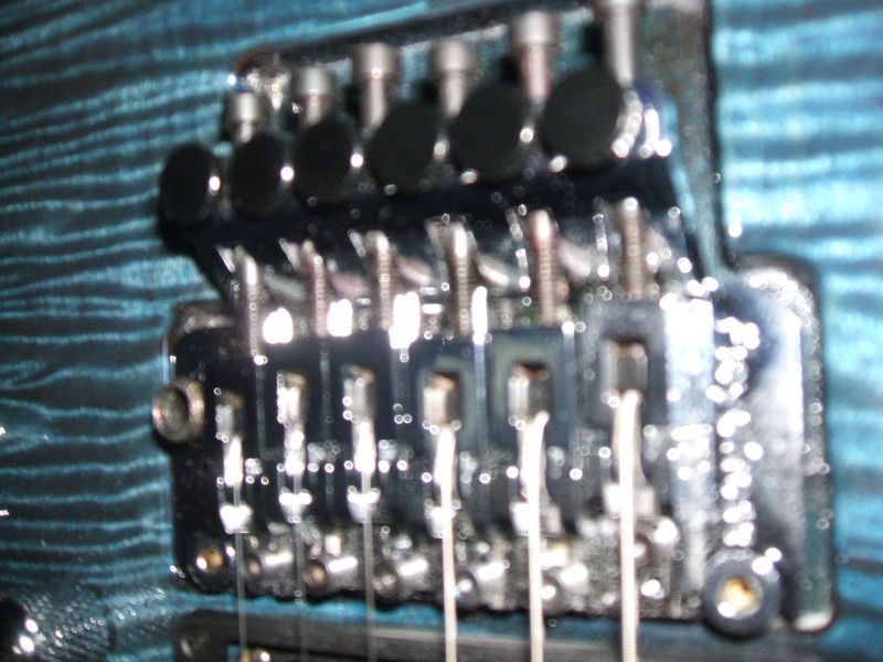 DSCF0741.JPG
