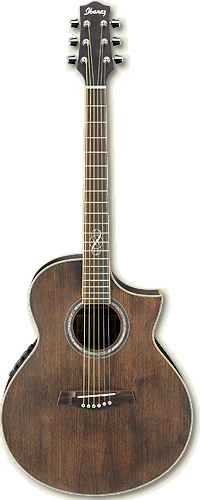 IBANEZ EW30WNE_OPN.gif