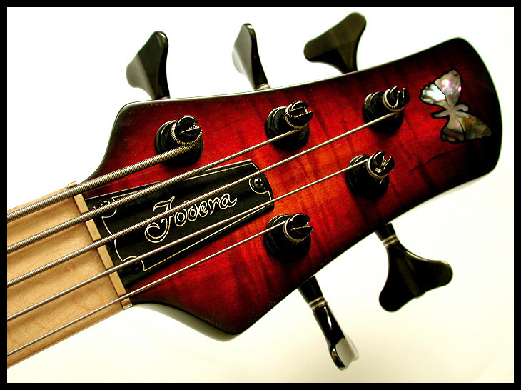 fodera5_headstock.jpg