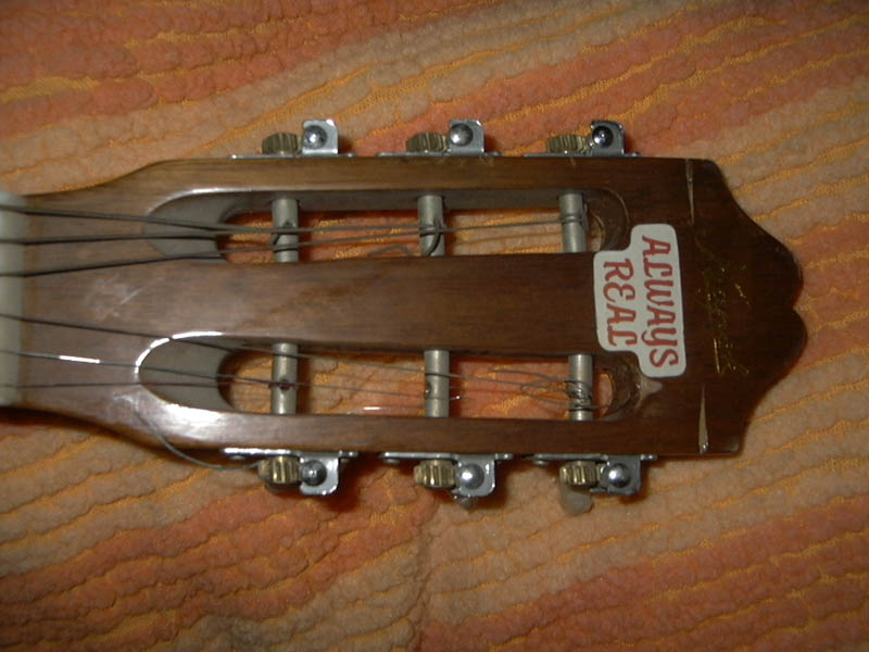 P1000088small.jpg