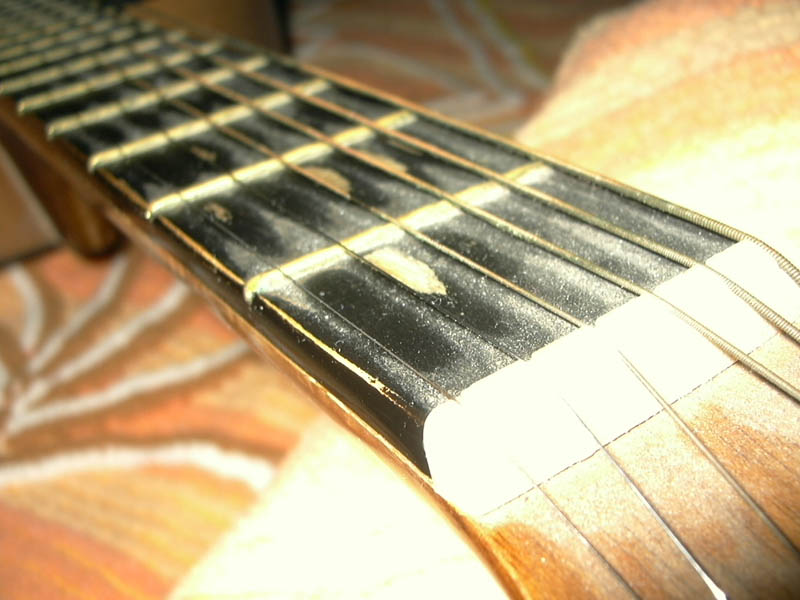 P1000096small.jpg