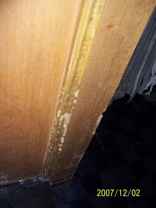100_5844.JPG