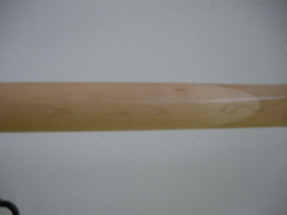DSCN0086.jpg