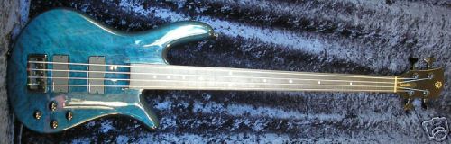 Spector NS-2000 Fretless Bass.jpg