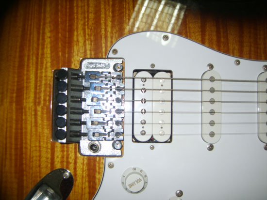 S8000813.JPG