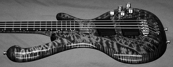 ritter-basses-cl-detail4[1].jpg