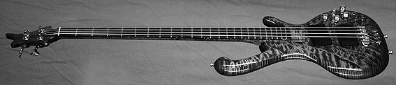 ritter-basses-cl-detail3[1].jpg