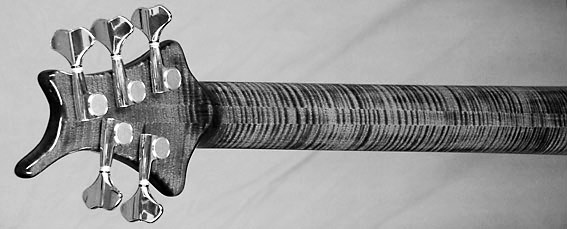 ritter-basses-0311neck[1].jpg