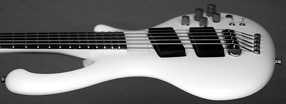 ritter-basses-royadetail7[1].jpg